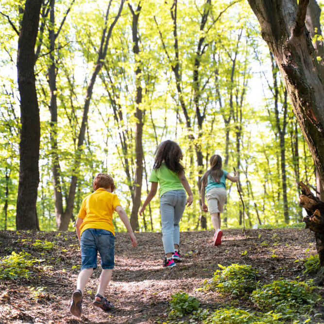 cute-kids-exploring-nature
