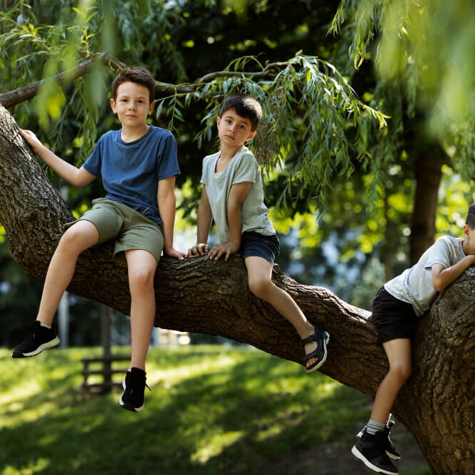 kids-having-fun-playground